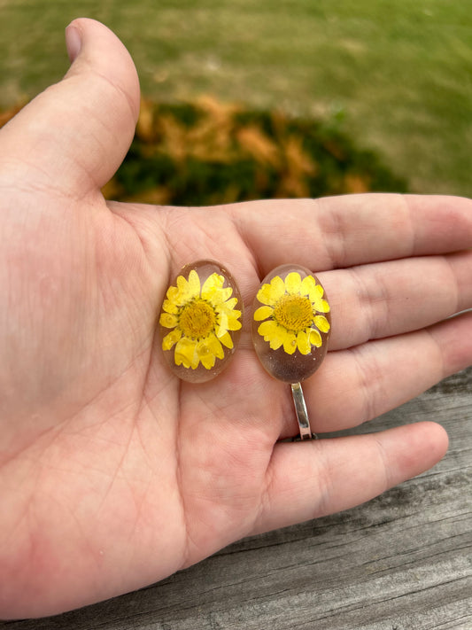 Daisy Resin Studs