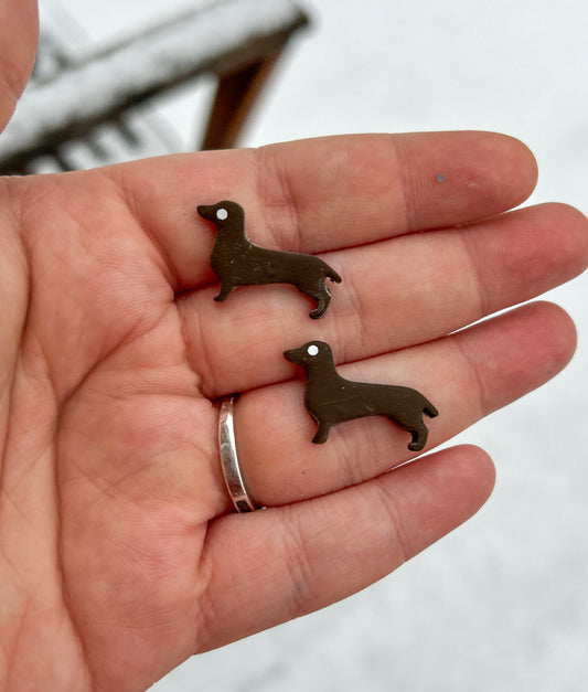 Dachshund Studs